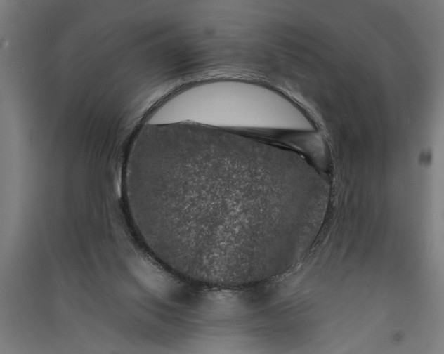 X0000091060062200708201355