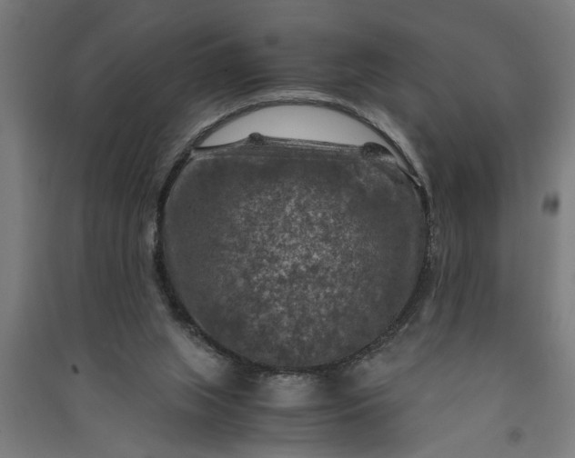X0000091060063200708201355