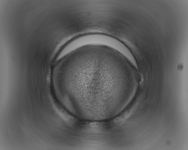 X0000091060064200708201355