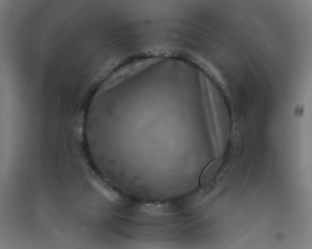 X0000091060065200708201355