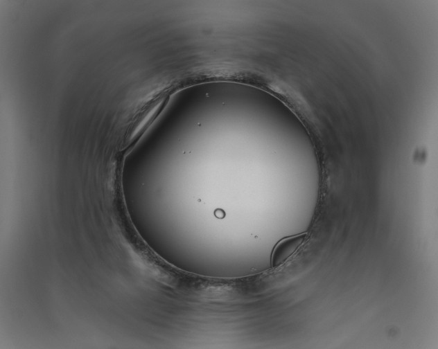X0000091060066200708201355