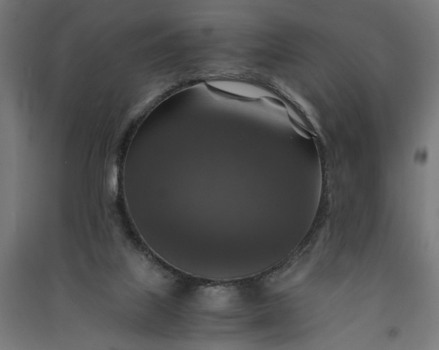 X0000091060067200708201355