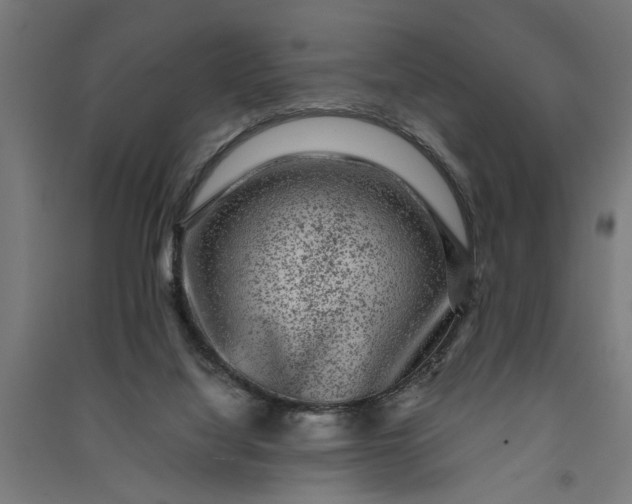 X0000091060068200708201355