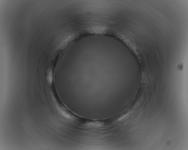 X0000091060069200708201355