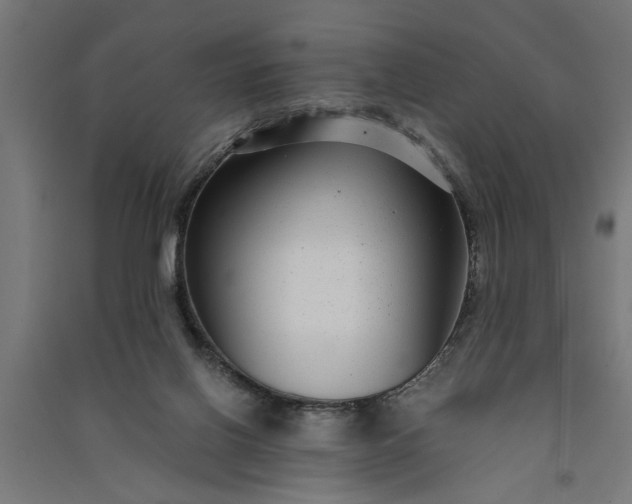 X0000091060070200708201355