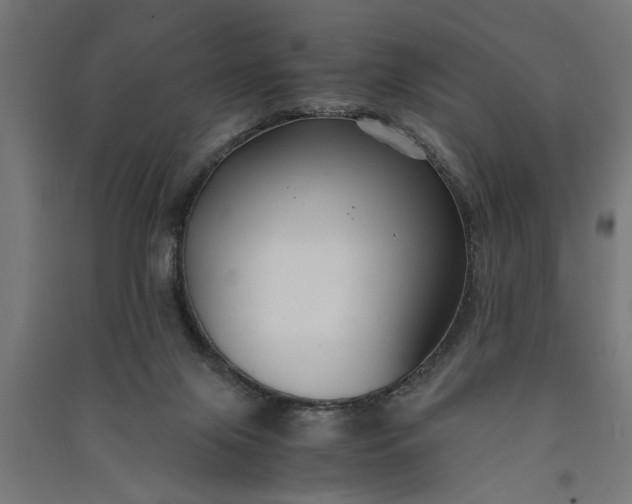X0000091060071200708201355