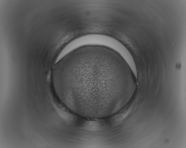 X0000091060072200708201355