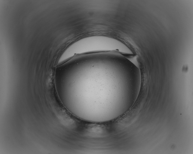 X0000091060073200708201355