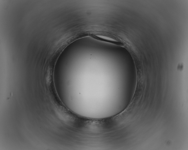 X0000091060074200708201355