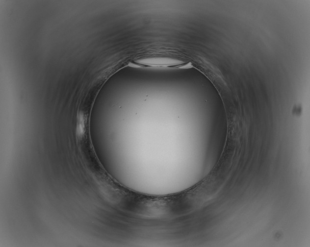 X0000091060075200708201355
