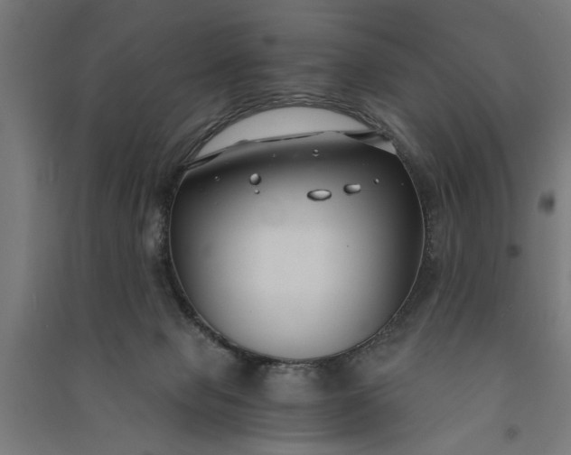 X0000091060077200708201356