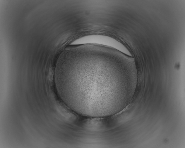 X0000091060078200708201356