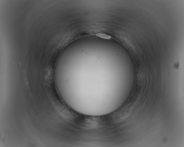 X0000091060079200708201356