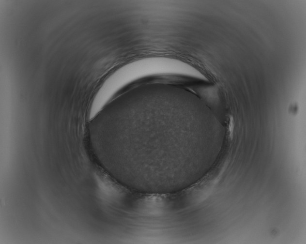 X0000091060080200708201356