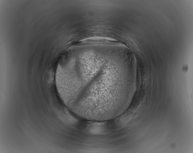 X0000091060081200708201356