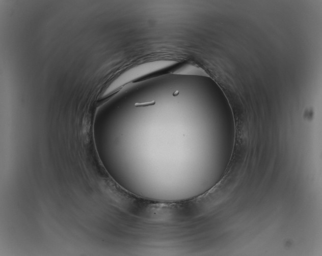 X0000091060082200708201356