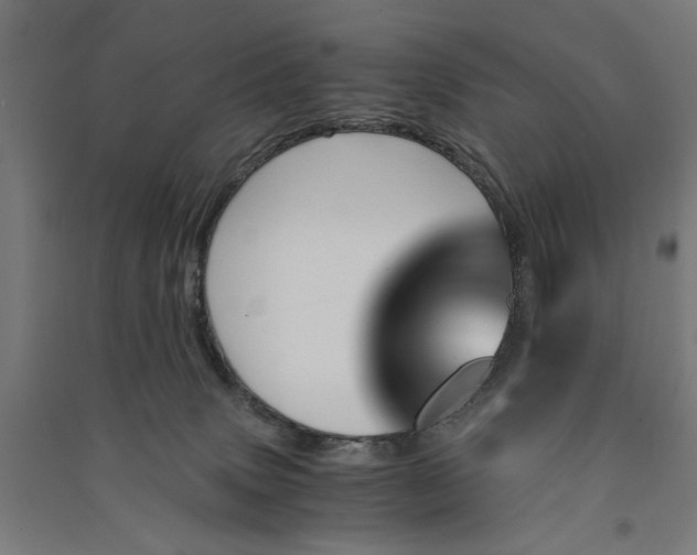 X0000091060083200708201356