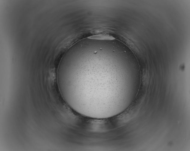 X0000091060085200708201356