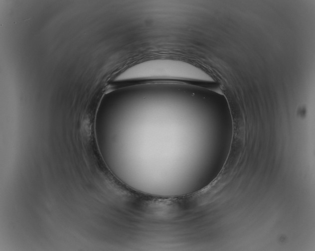 X0000091060086200708201356