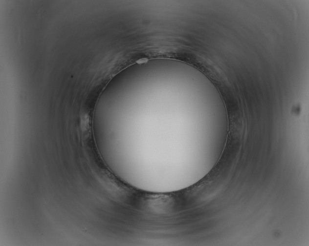 X0000091060087200708201356