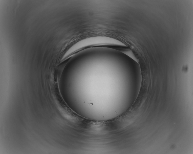 X0000091060088200708201356