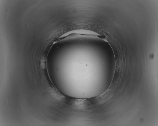 X0000091060090200708201356