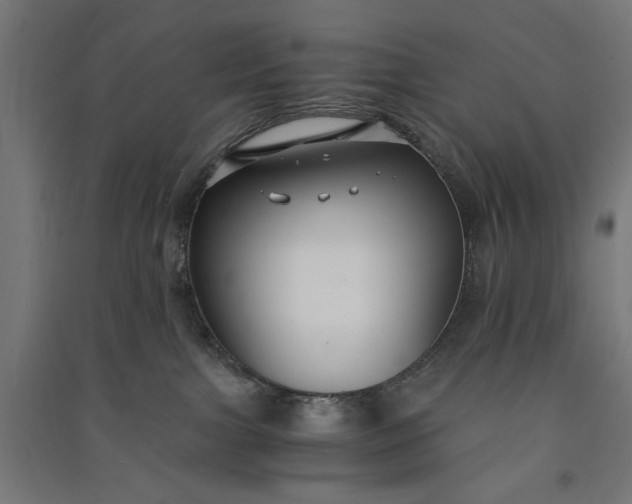 X0000091060091200708201356