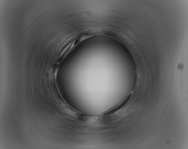 X0000091060096200708201356