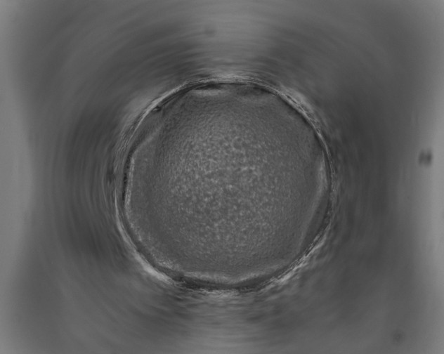 X0000091060097200708201355
