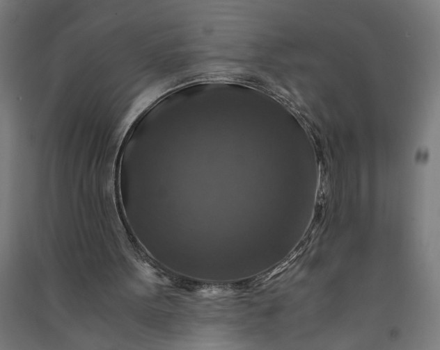 X0000091060099200708201355