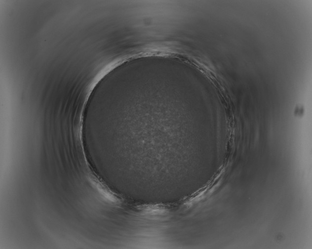 X0000091060100200708201355