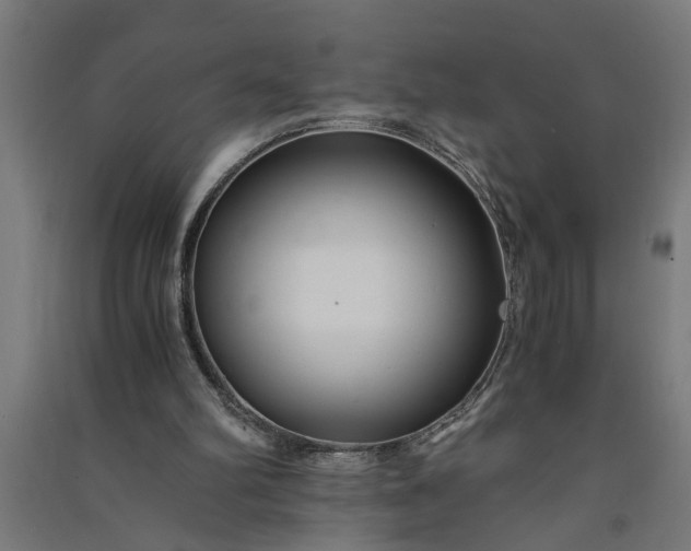 X0000091060102200708201355