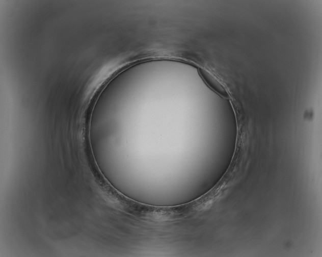 X0000091060103200708201355