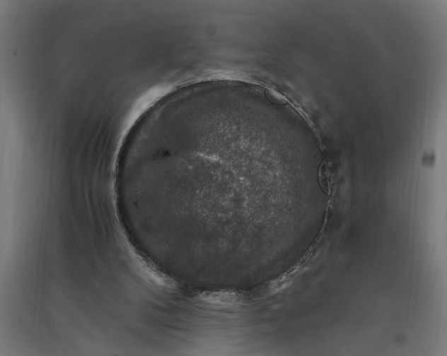 X0000091060104200708201355