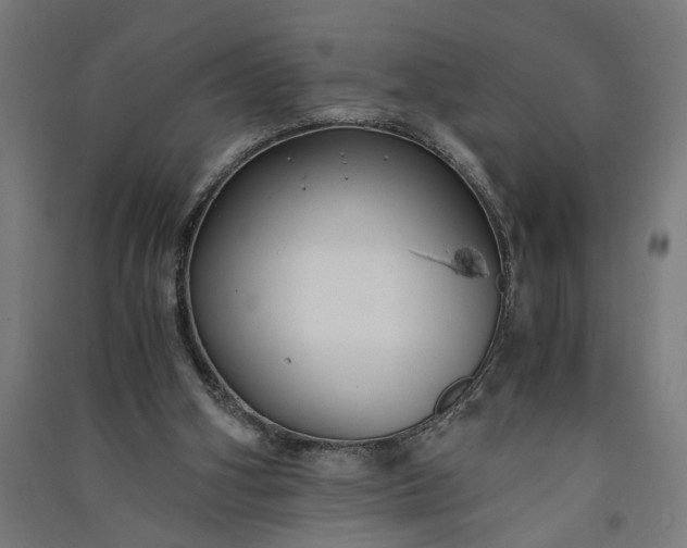 X0000091060106200708201355