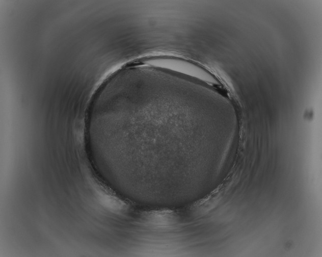 X0000091060108200708201355