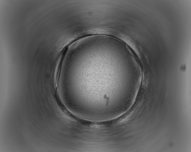 X0000091060109200708201355