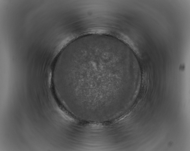 X0000091060110200708201355