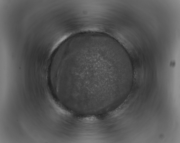 X0000091060112200708201355