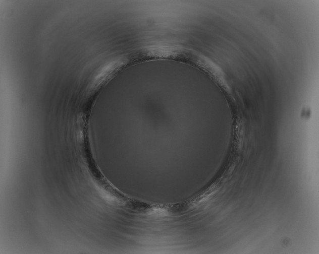 X0000091060114200708201355