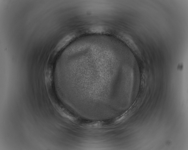 X0000091060116200708201355
