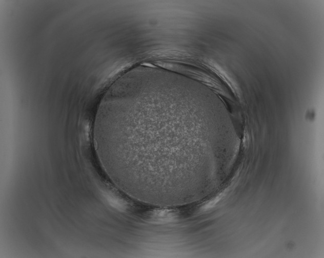 X0000091060117200708201355