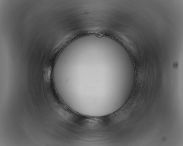 X0000091060118200708201355