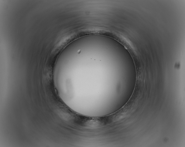 X0000091060119200708201355