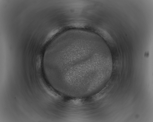 X0000091060120200708201355
