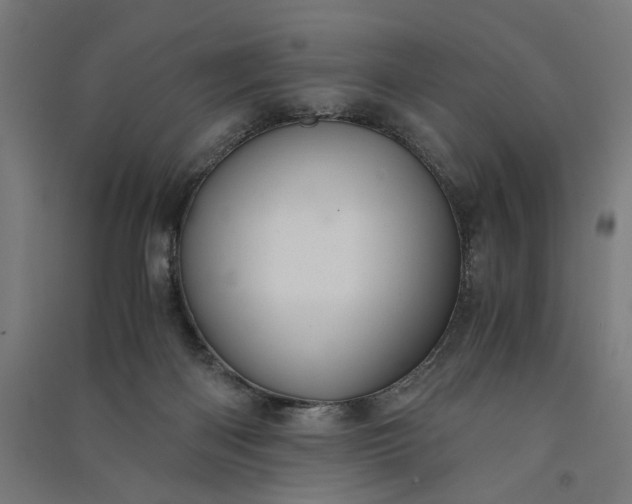 X0000091060122200708201355