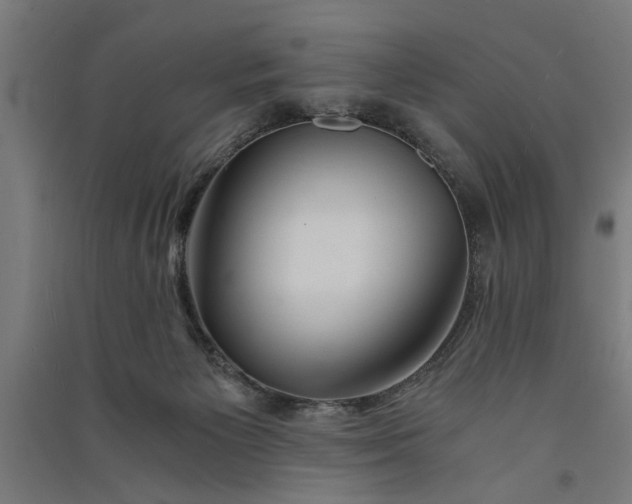 X0000091060125200708201354