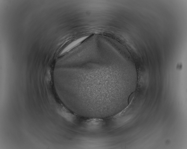 X0000091060128200708201354