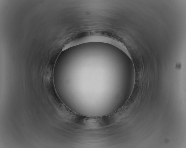 X0000091060129200708201354
