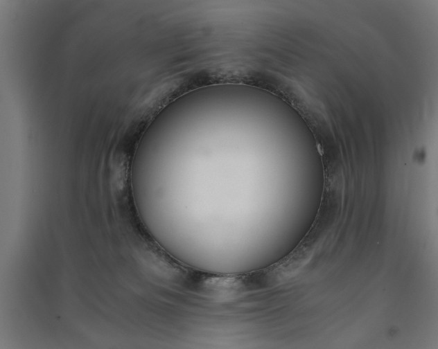 X0000091060133200708201354